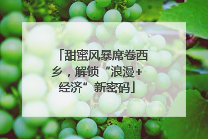 甜蜜风暴席卷西乡，解锁“浪漫+经济”新密码