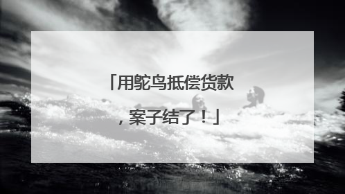 用鸵鸟抵偿货款，案子结了！