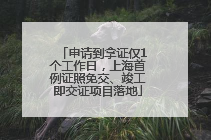 申请到拿证仅1个工作日，上海首例证照免交、竣工即交证项目落地