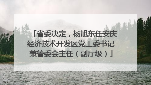 省委决定，杨旭东任安庆经济技术开发区党工委书记兼管委会主任（副厅级）