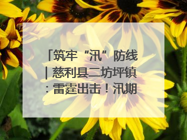 筑牢“汛”防线｜慈利县二坊坪镇：雷霆出击！汛期捕鱼被紧急叫停