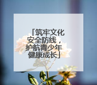筑牢文化安全防线，护航青少年健康成长