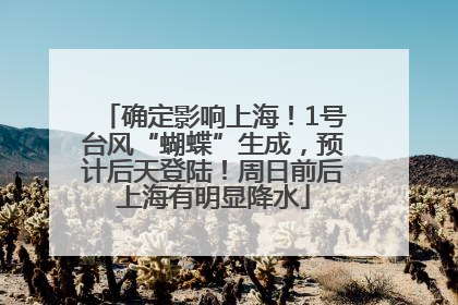 确定影响上海！1号台风“蝴蝶”生成，预计后天登陆！周日前后上海有明显降水