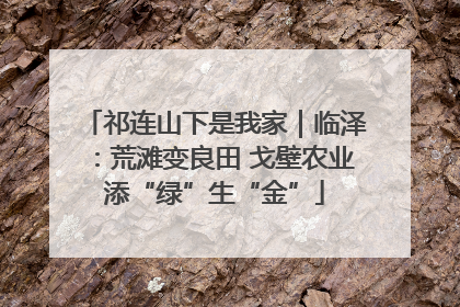 祁连山下是我家｜临泽：荒滩变良田 戈壁农业添“绿”生“金”