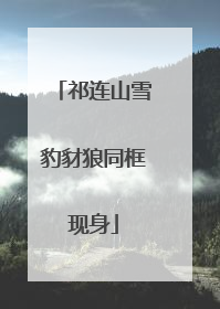 祁连山雪豹豺狼同框现身