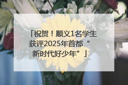 祝贺！顺义1名学生获评2025年首都“新时代好少年”