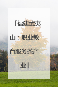 福建武夷山：职业教育服务茶产业