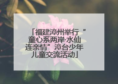 福建漳州举行“童心系两岸·水仙连亲情”漳台少年儿童交流活动