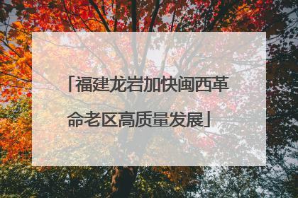 福建龙岩加快闽西革命老区高质量发展