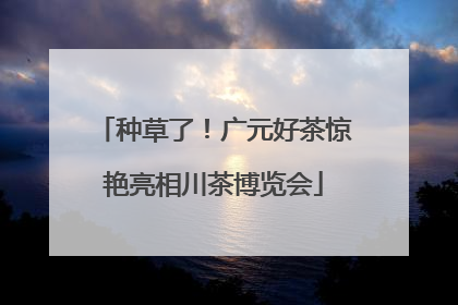 种草了！广元好茶惊艳亮相川茶博览会
