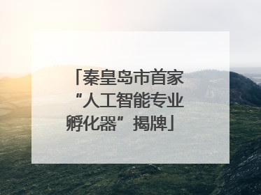 秦皇岛市首家“人工智能专业孵化器”揭牌