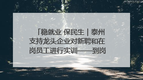 稳就业 保民生｜泰州支持龙头企业对新聘和在岗员工进行实训——到岗就能用 用了就见效