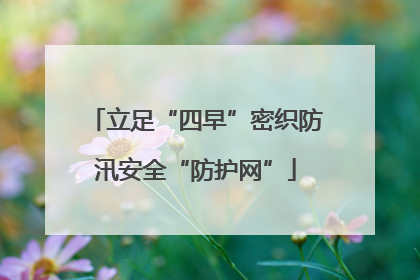 立足“四早”密织防汛安全“防护网”