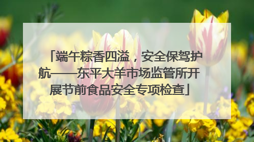 端午粽香四溢，安全保驾护航——东平大羊市场监管所开展节前食品安全专项检查