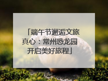 端午节邂逅文旅真心：常州恐龙园开启美好旅程