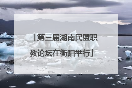 第三届湖南民盟职教论坛在衡阳举行