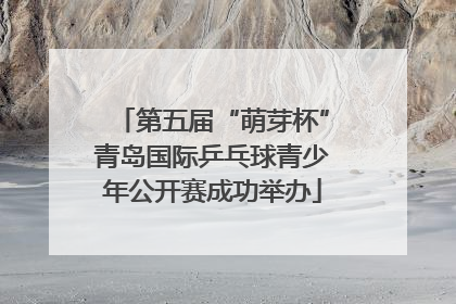 第五届“萌芽杯”青岛国际乒乓球青少年公开赛成功举办