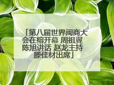 第八届世界闽商大会在榕开幕 周祖翼陈旭讲话 赵龙主持 滕佳材出席