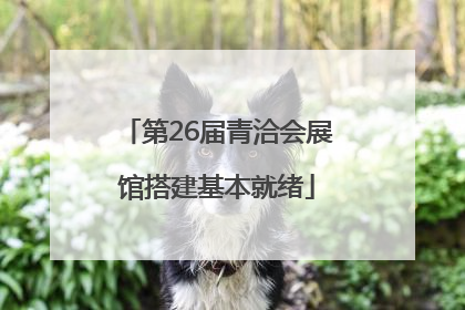 第26届青洽会展馆搭建基本就绪