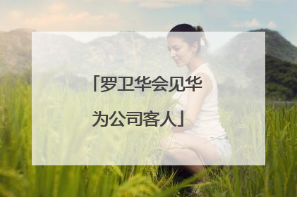 罗卫华会见华为公司客人