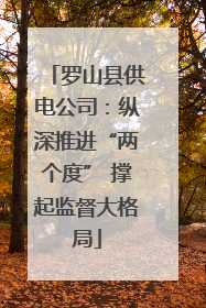 罗山县供电公司：纵深推进“两个度” 撑起监督大格局