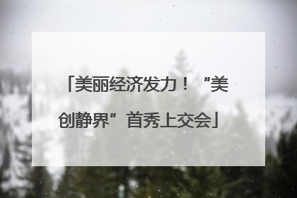 美丽经济发力！“美创静界”首秀上交会