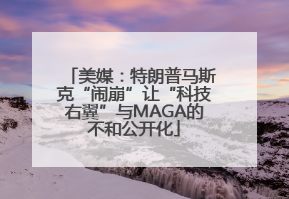 美媒：特朗普马斯克“闹崩”让“科技右翼”与MAGA的不和公开化