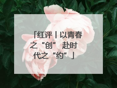 红评丨以青春之“创” 赴时代之“约”