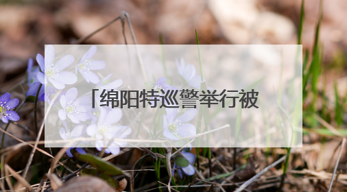 绵阳特巡警举行被盗电动车发还仪式