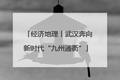 经济地理丨武汉奔向新时代“九州通衢”