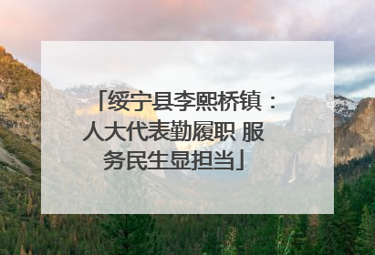 绥宁县李熙桥镇：人大代表勤履职 服务民生显担当