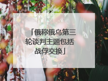 俄称俄乌第三轮谈判主题包括战俘交换