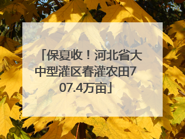 保夏收！河北省大中型灌区春灌农田707.4万亩