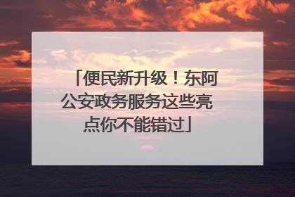 便民新升级！东阿公安政务服务这些亮点你不能错过