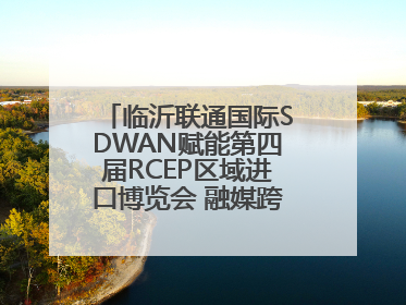 临沂联通国际SDWAN赋能第四届RCEP区域进口博览会 融媒跨境直播畅行无阻