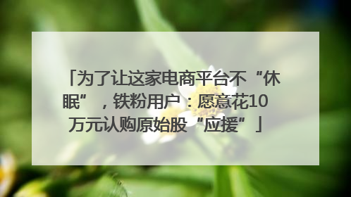 为了让这家电商平台不“休眠”，铁粉用户：愿意花10万元认购原始股“应援”
