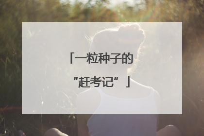 一粒种子的“赶考记”