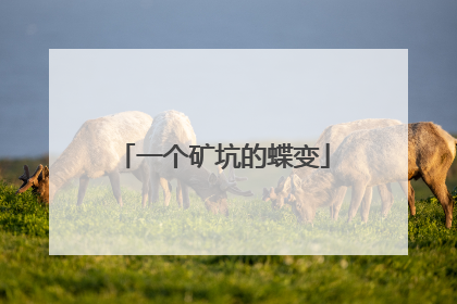 一个矿坑的蝶变
