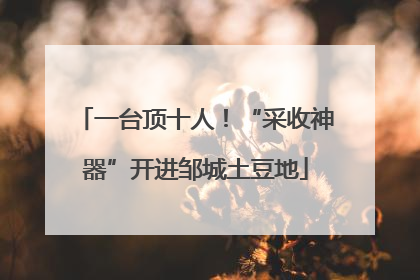 一台顶十人！“采收神器”开进邹城土豆地