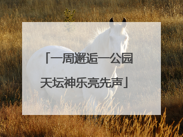 一周邂逅一公园 天坛神乐亮先声