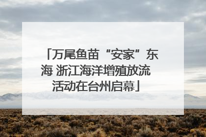 万尾鱼苗“安家”东海 浙江海洋增殖放流活动在台州启幕