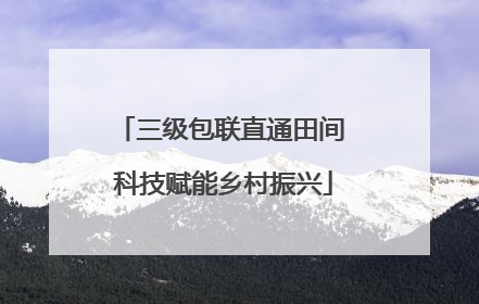 三级包联直通田间 科技赋能乡村振兴