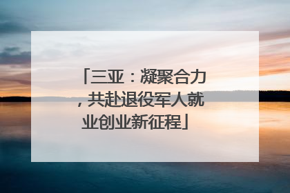 三亚：凝聚合力，共赴退役军人就业创业新征程