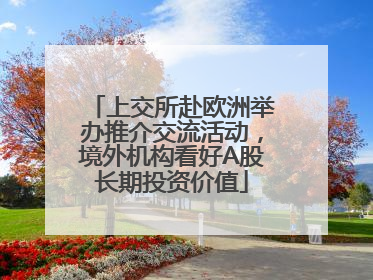 上交所赴欧洲举办推介交流活动，境外机构看好A股长期投资价值