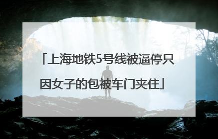 上海地铁5号线被逼停只因女子的包被车门夹住