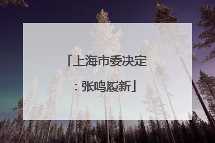 上海市委决定：张鸣履新