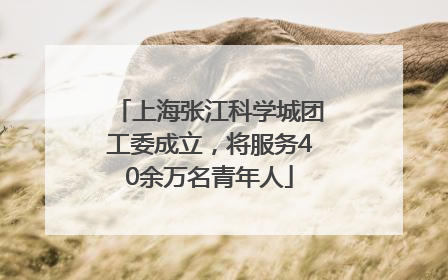 上海张江科学城团工委成立，将服务40余万名青年人
