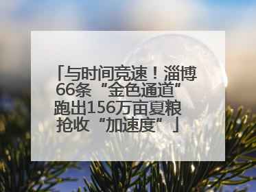 与时间竞速！淄博66条“金色通道”跑出156万亩夏粮抢收“加速度”