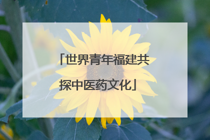 世界青年福建共探中医药文化