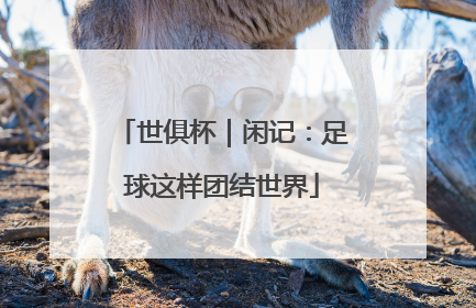 世俱杯｜闲记：足球这样团结世界